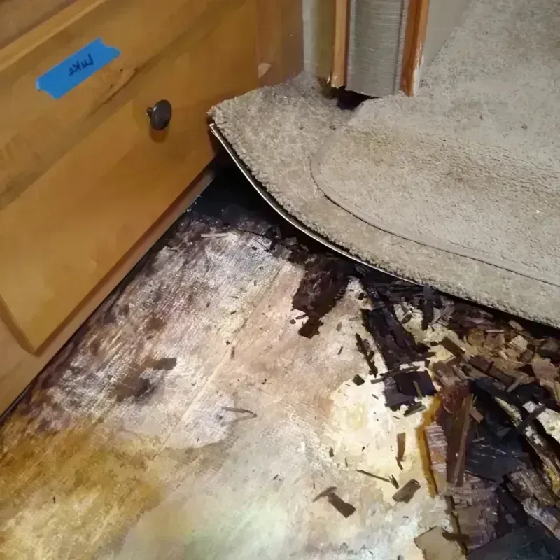 Best Wood Floor Water Damage Service in Newberry County, SC